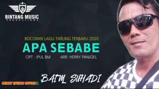 APA SEBABE_BAIM SUHADI/ SINGLE TARLING PERDANA 2020