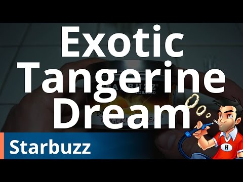 Starbuzz Exotic Tangerine Dream Shisha (Hookah) - Review