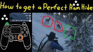 RDR2 How to get a Perfect Ram Hide