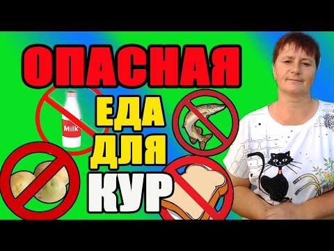 ОПАСНАЯ (вредная) еда для кур. Что нельзя давать курам из еды.