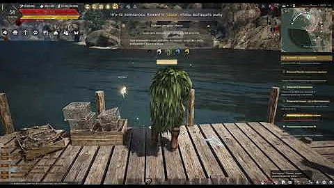 Гайд по АФК рыбалке | 40 миллионов с рыбалки | Black Desert