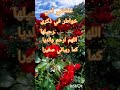 تابعوا الفيديو على قناة عيشي حياتك صح مع أماني عيشيحياتكصحمعاماني  