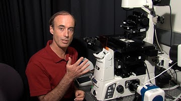 Microscopy: Setting Up Koehler Illumination (Ron Vale)