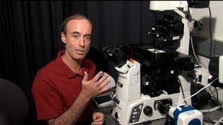 Microscopy: Setting Up Koehler Illumination (Ron Vale)