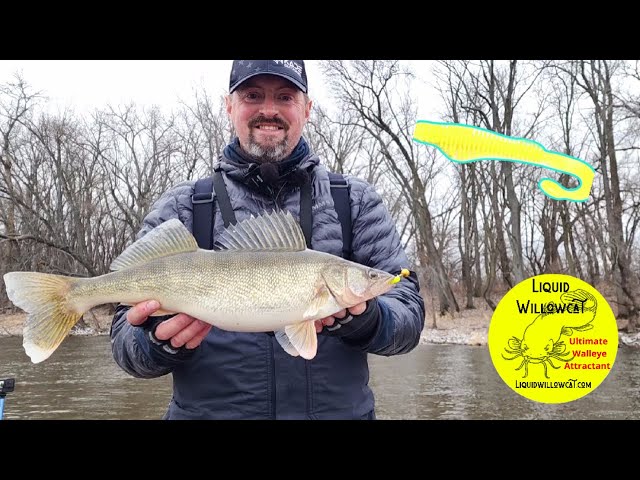 MISSISSIPPI RIVER pool 4 SMASHING walleyes with the LIQUID WILLOW