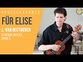 Fr elise by beethoven performed on ukulele by jeff peterson