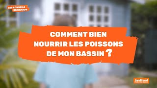 Comment bien nourrir les poissons de mon bassin ?