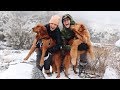 THEIR FIRST TIME SEEING SNOW! // VLOG