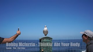 Bobby Mcferrin - Thinkin' About Your Body