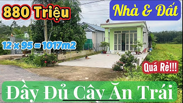 ( Đã Bán) Chủ Đổ Nợ Bán Gấp! Nhà Vườn 1000m² Đường Nhựa Chỉ 880 Triệu – Nghe Mà Sốc!