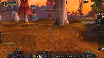 In The Face! - World of Warcraft Quest
