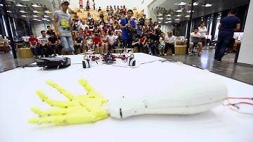 Bot Engineering and Algorithmic Art: Parallel Presentations