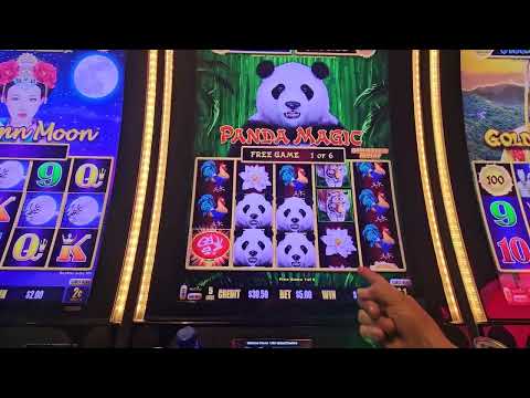 GOLDEN TRAIN Bonos que buenos números me Dio #maquinitas #supergirlslots #slot #casino #gambling