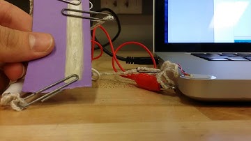 Painted Potentiometer