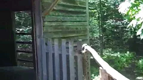 Our Trip to The Smokey Mountains