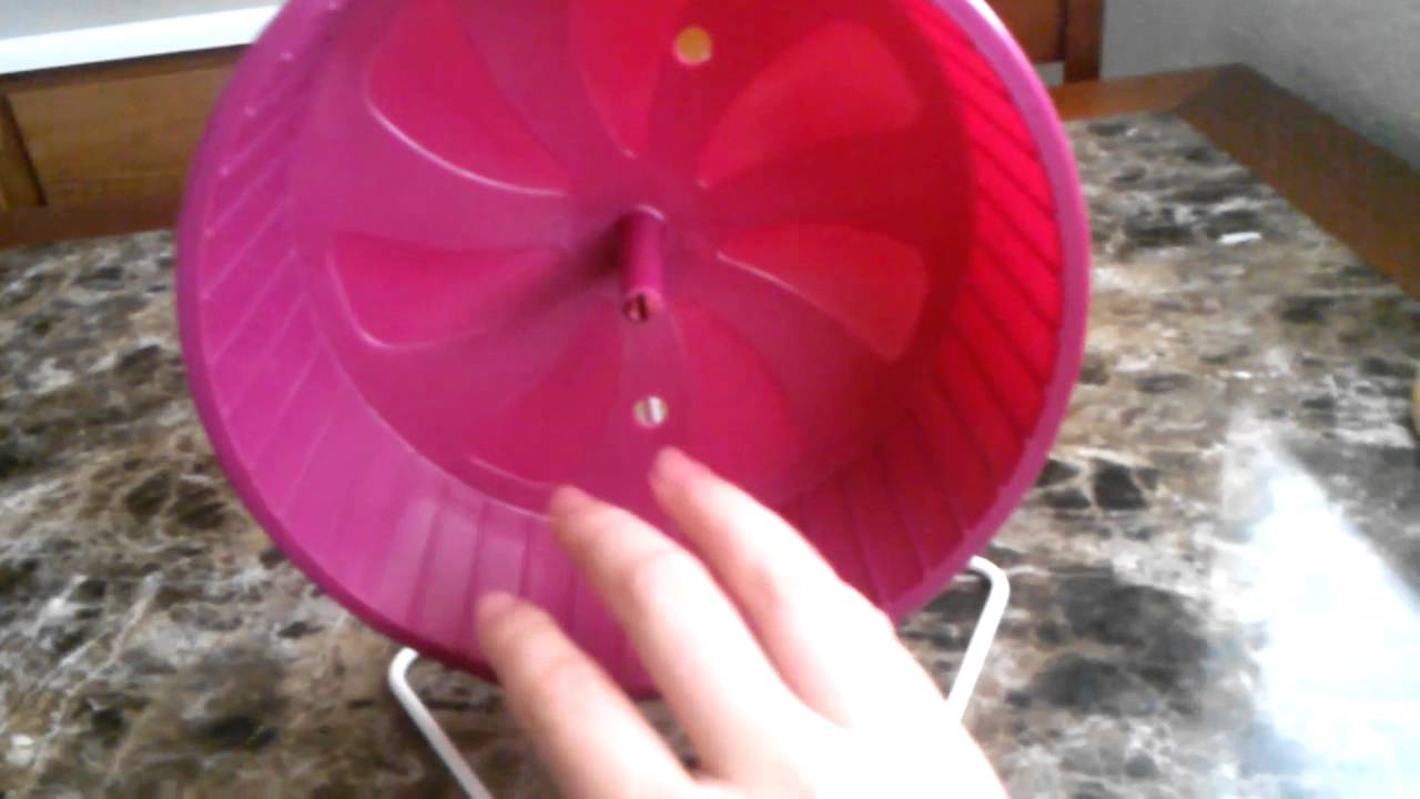 Super Pet Comfort Wheel Review