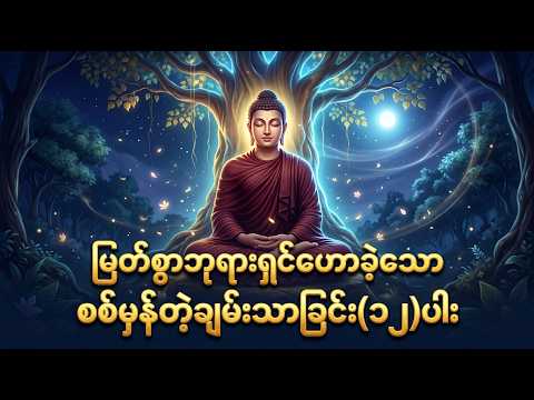 မြတ်စွာဘုရားရှင်ဟောခဲ့သော စစ်မှန်တဲ့ချမ်းသာခြင်း(၁၂) ပါး - ပါချုပ်ဆရာတော်