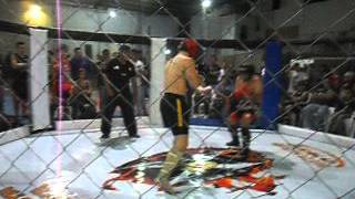 Kick Boxing Amateur Wkf1
