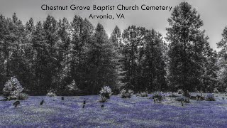 Chestnut Grove Baptist Church Cemetery - Arvonia, VA