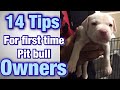 Gambar cover Tips for FIRST TIME Pitbull owners!