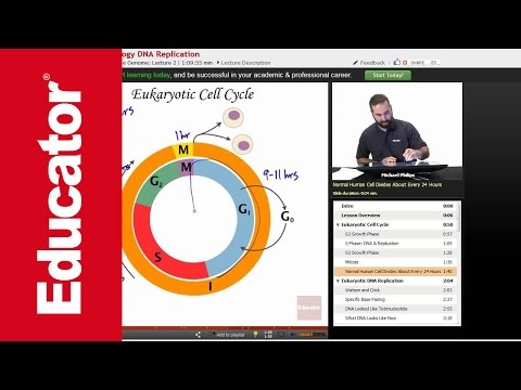 DNA Replication | Molecular Biology