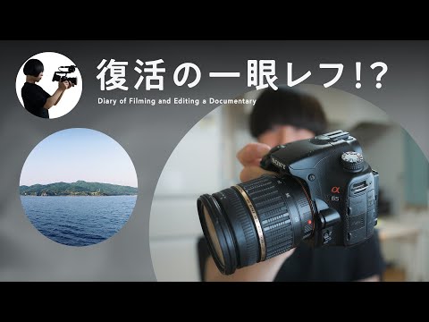 Sony α65】一眼レフのマニュアルフォーカスについて。｜May.17, 2025