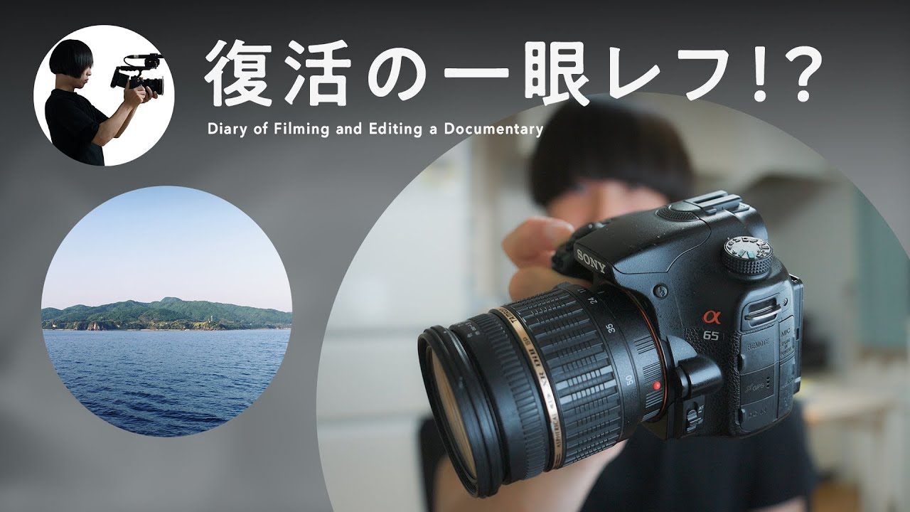 Sony α65】一眼レフのマニュアルフォーカスについて。｜May.17, 2025