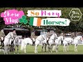 Dublin horse show 2019  show vlog  ad  this esme