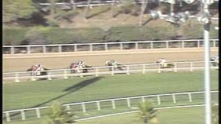 1984 Breeders' Cup Classic