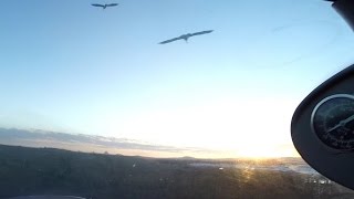 Aviate Downunder 067