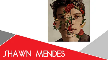 In My Blood (Instrumental) - Shawn Mendes