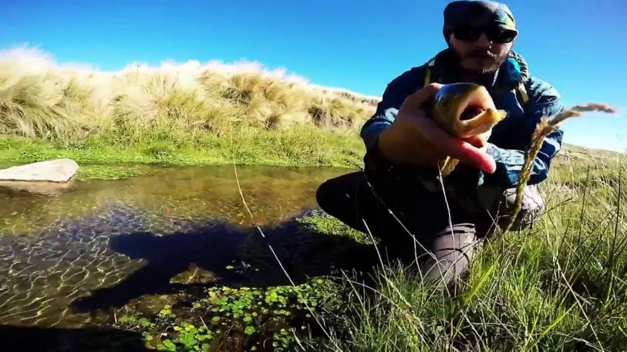 fly fishing cordoba 3 entrega YouTube