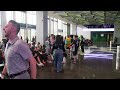WATCH | Spurs hold auditions for the Jackals