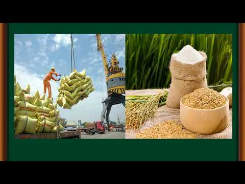 ĐẠO ĐỨC LỚP 5 - EM YÊU TỔ QUỐC VIỆT NAM - GV TRỊNH THỊ HOA - TH NGUYỄN VIẾT XUÂN