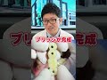 歯科医ではよくある😲ブリッジの治療を先生が解説！#shorts