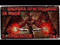 Истории на ночь (2в1): 1.Бабушка приглядывает за мной, 2.Крылатое