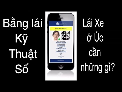 Video: Northern New South Wales - Lái xe về phía Bắc từ Sydney