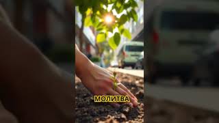 Божественная мудрость и внутренний свет: вдохновляющие строки о Боге и душе