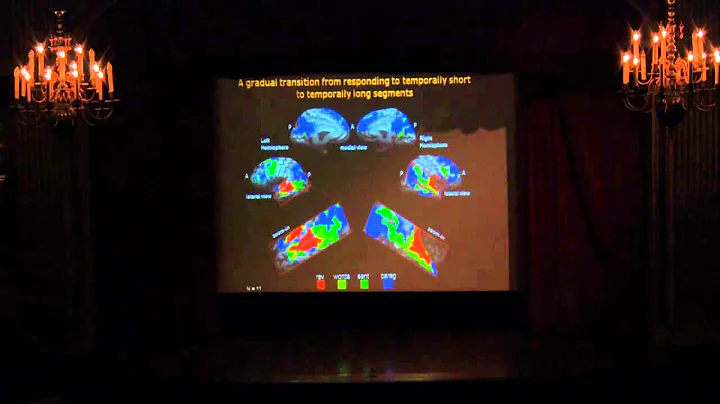 Conference: Neurotechniques, Prof. David Freedberg...