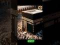 mucca.edite #mucca #ytshorts #foryou #islamicvideo