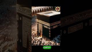 mucca.edite #mucca #ytshorts #foryou #islamicvideo