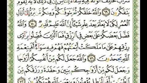 016 - سورة النحل - ناصر القطامي.flv