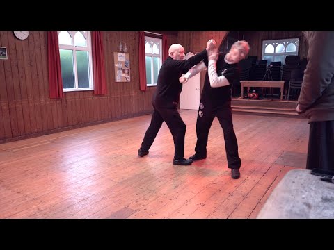 How to practise Tai Chi  Techniques - Chop Opponent with Fist