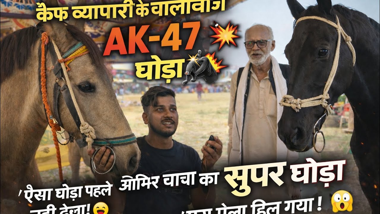 ब्रह्मपुर में पहुंचे है कैफ व्यापारी भी….आमिर चाचा का AK 47 भी है हाज़िर...