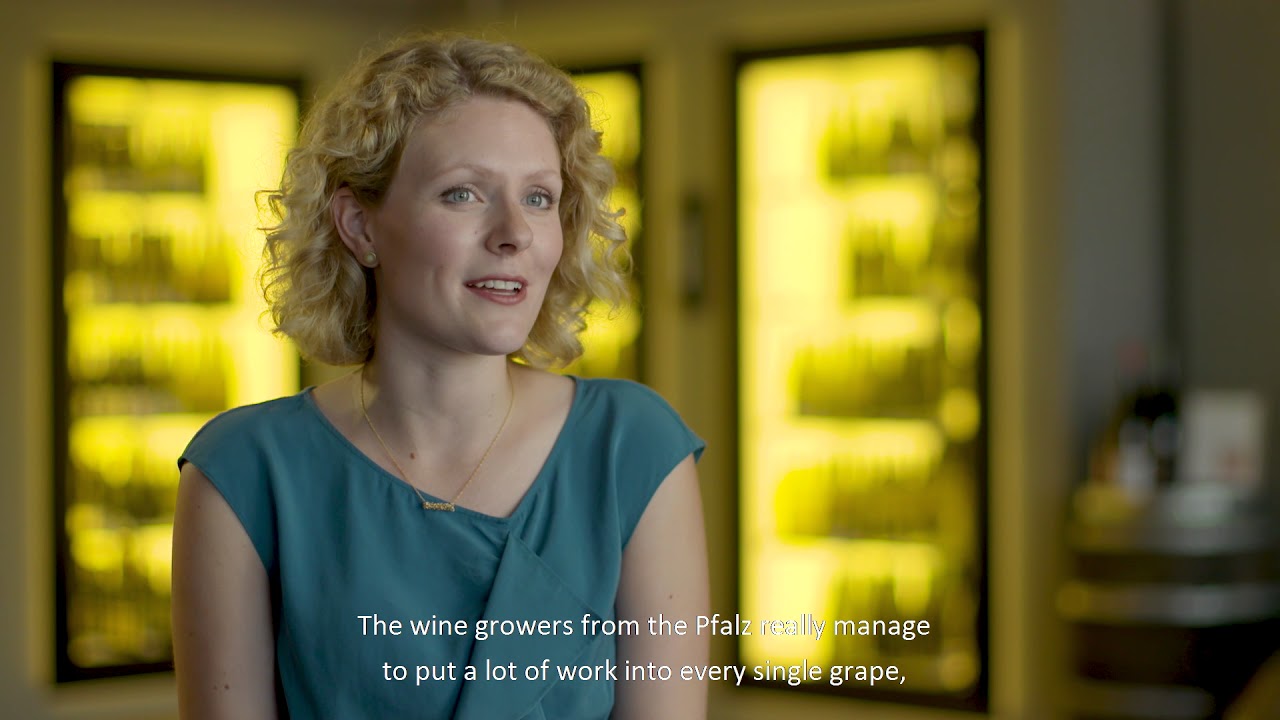 Driving through the sea of vines along the German Wine Road - The Pfalz