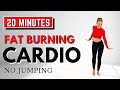 🔥20 Min FAT BURNING CARDIO for WEIGHT LOSS🔥KNEE FRIENDLY🔥NO SQUATS/LUNGES🔥NOJUMPING🔥NO REPEATS🔥
