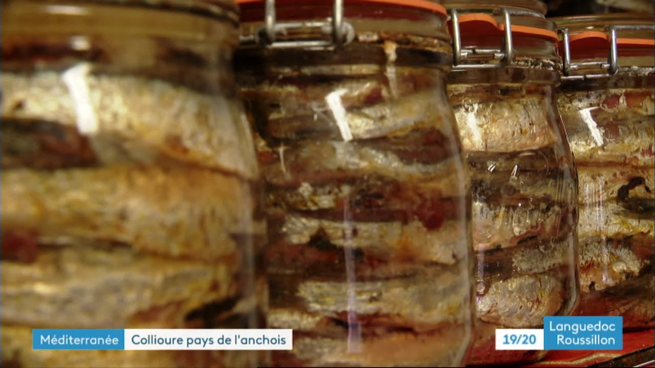 Bleue Occitanie dans l'anchois à Sète et Collioure où elle fait toujours recette