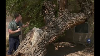 Tracking monsoon damage across the Valley