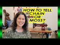 Chain? or Moss? how to tell???? after unboxing....Chain Stitch Embroidery Machine