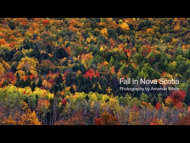 Fall in Nova Scotia